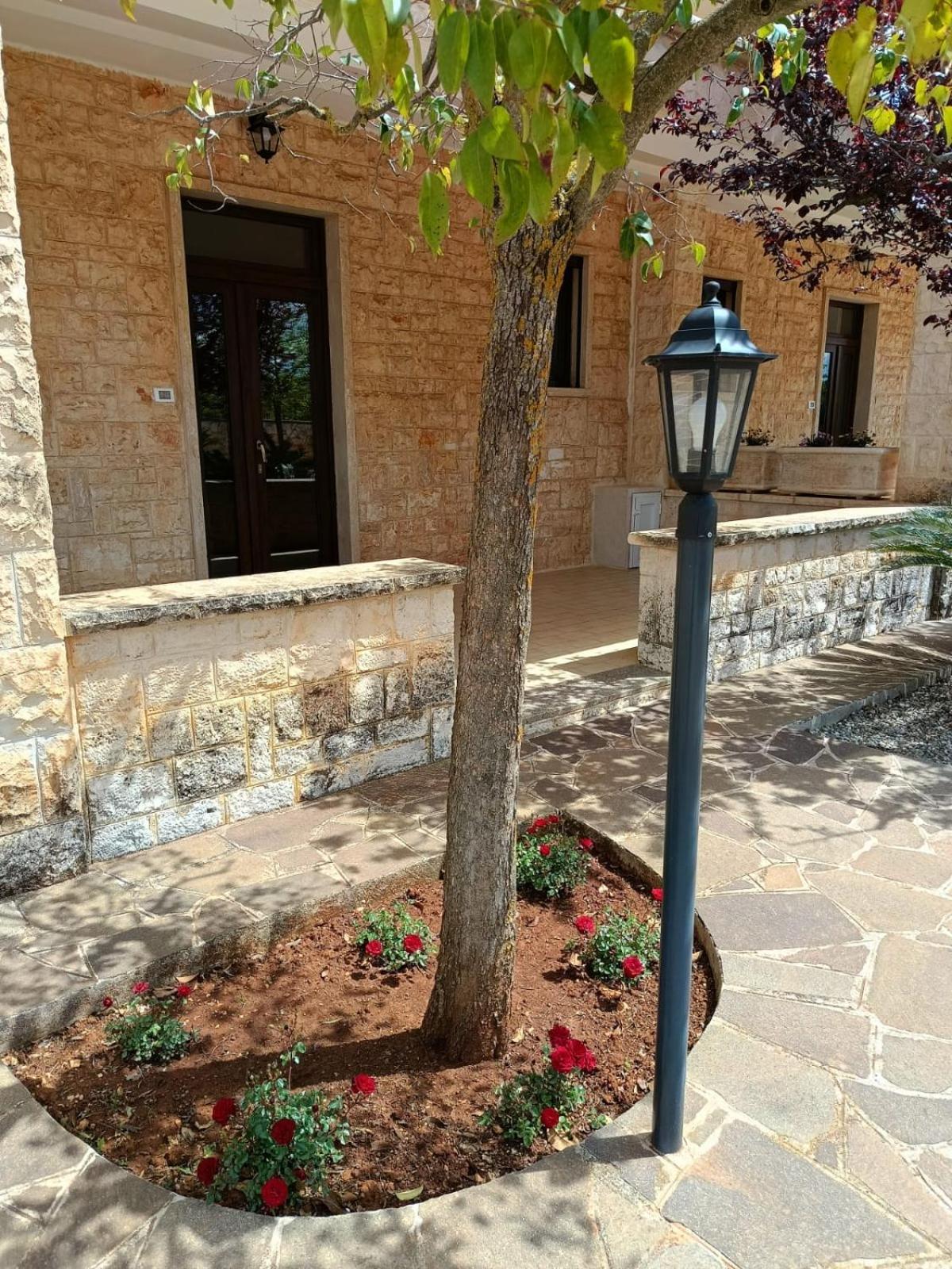 Villa Lisi 셀바디파사노 외부 사진