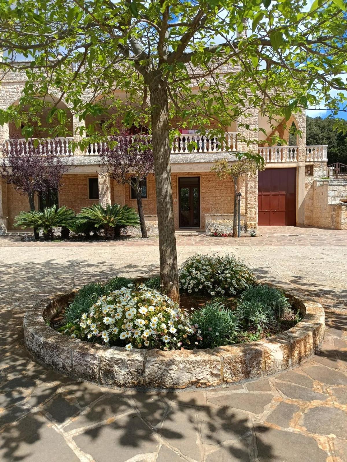 Villa Lisi 셀바디파사노 외부 사진