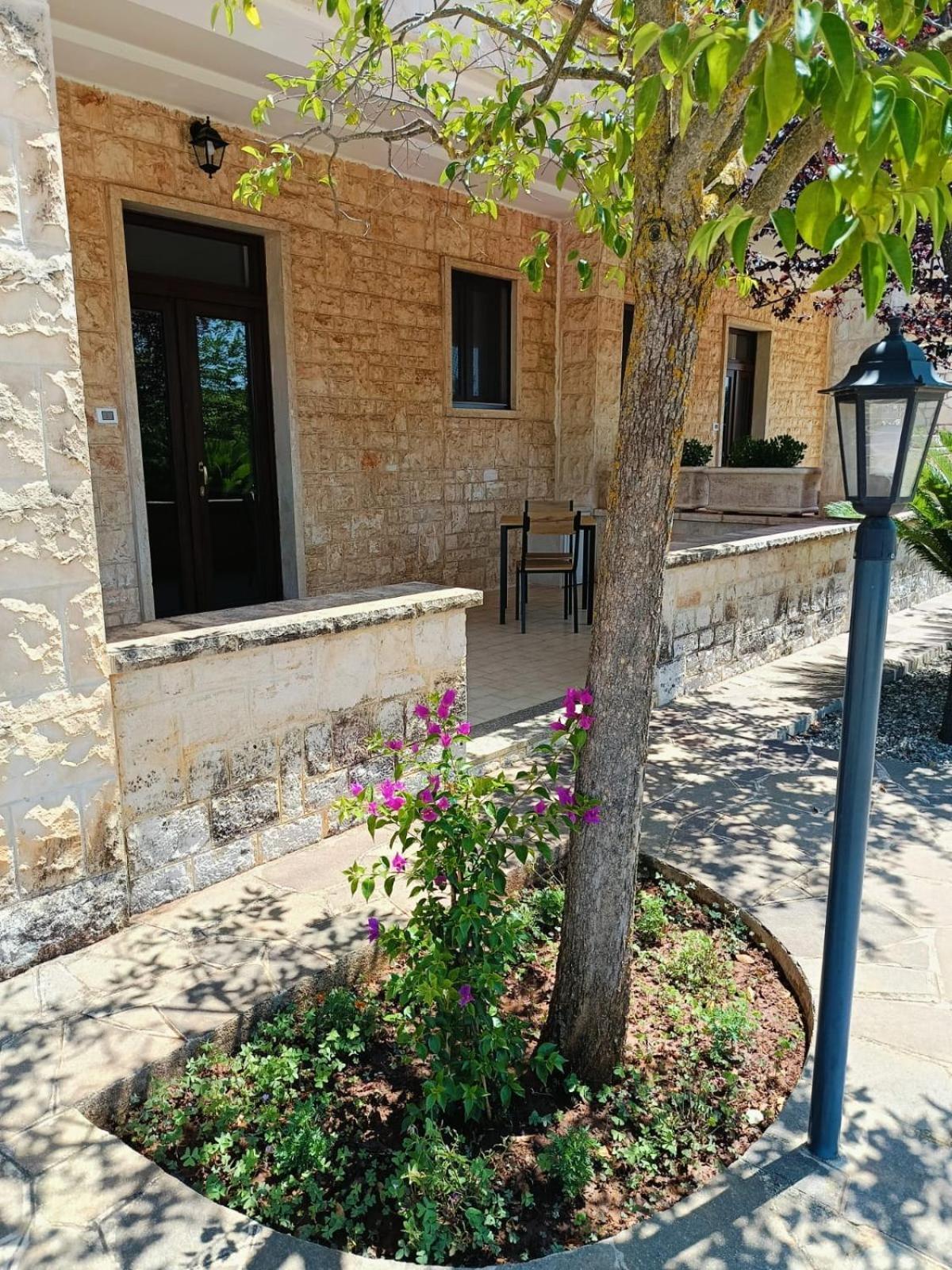 Villa Lisi 셀바디파사노 외부 사진